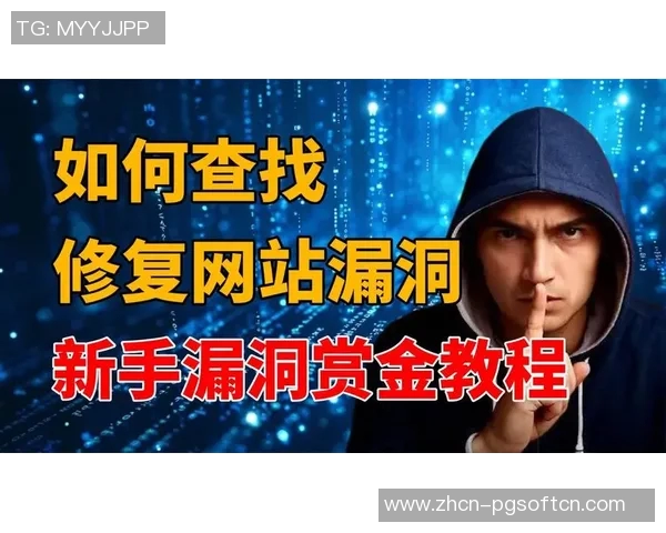 电子游戏赏金船长漏洞-探究电子游戏赏金船长漏洞，一个不可忽视的问题-电子游戏赏金船长漏洞